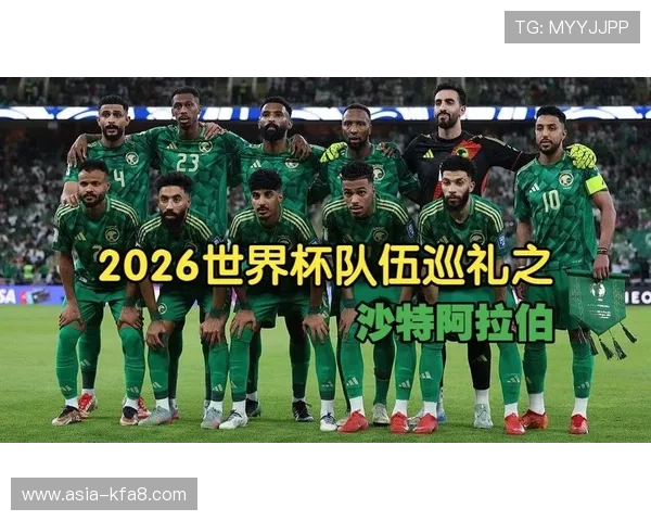世界杯西班牙沙特比赛分析，深夜观赛的球迷应关注的比赛亮点与战术解析
